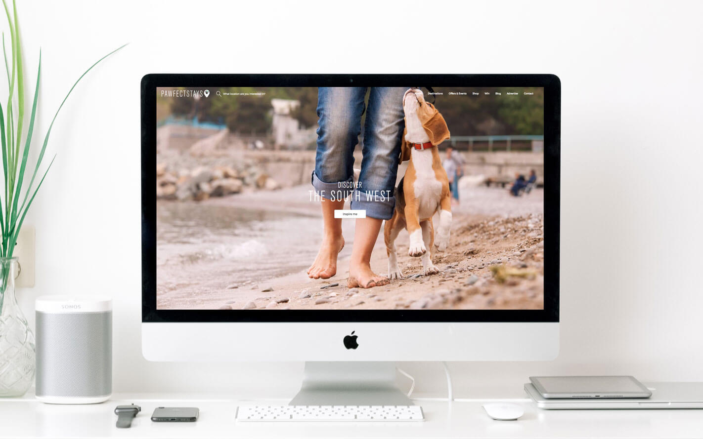 Pawfect Stays desktop version of the website design and development by Oracle Design