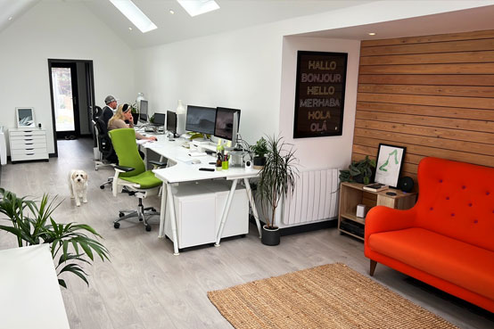 A view of the Newquay Oracle Design studio, with people working at there desks and a dog in the office