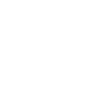 Sexey's School Somerset logo in white