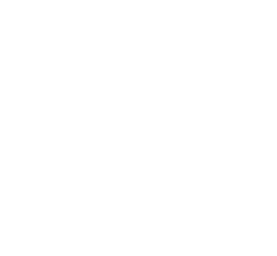 Newquay Town Council brand development