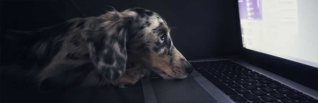 Why your website might be driving customers away.